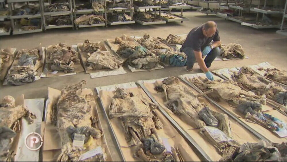 Provjereno: Nestali - 10