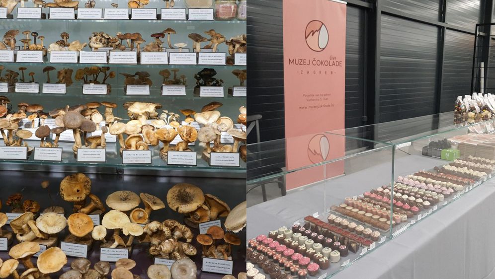 Muzej gljiva i Muzej čokolade u Zagrebu