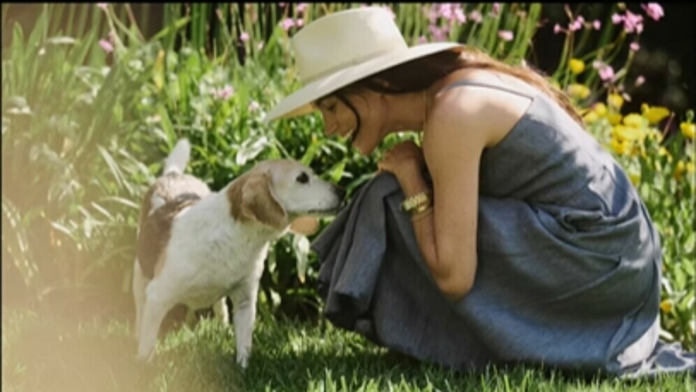 Meghan Markle i bigl Guy