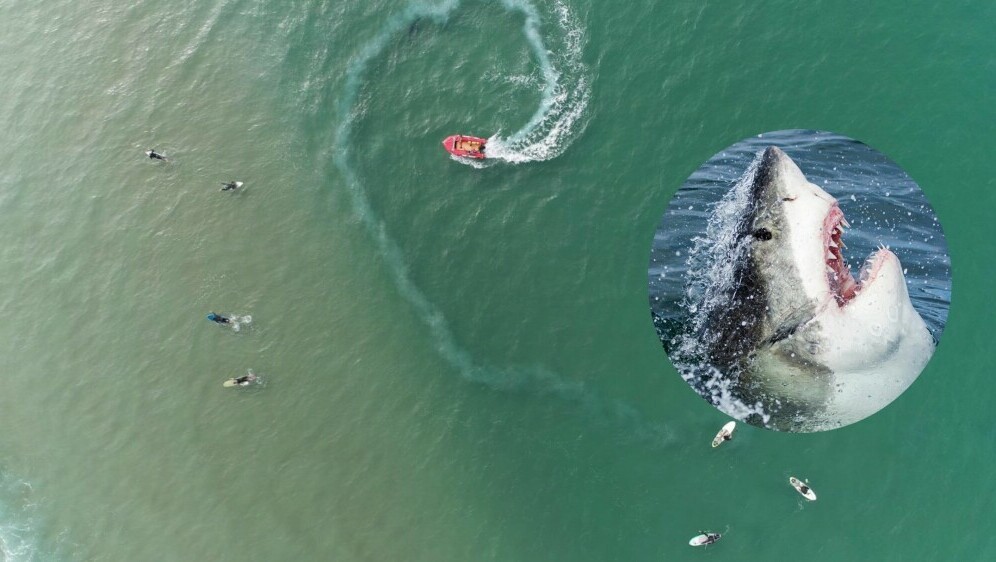 Slika mora iz zraka sa surferima i brodom te morski pas koji izvire iz vode