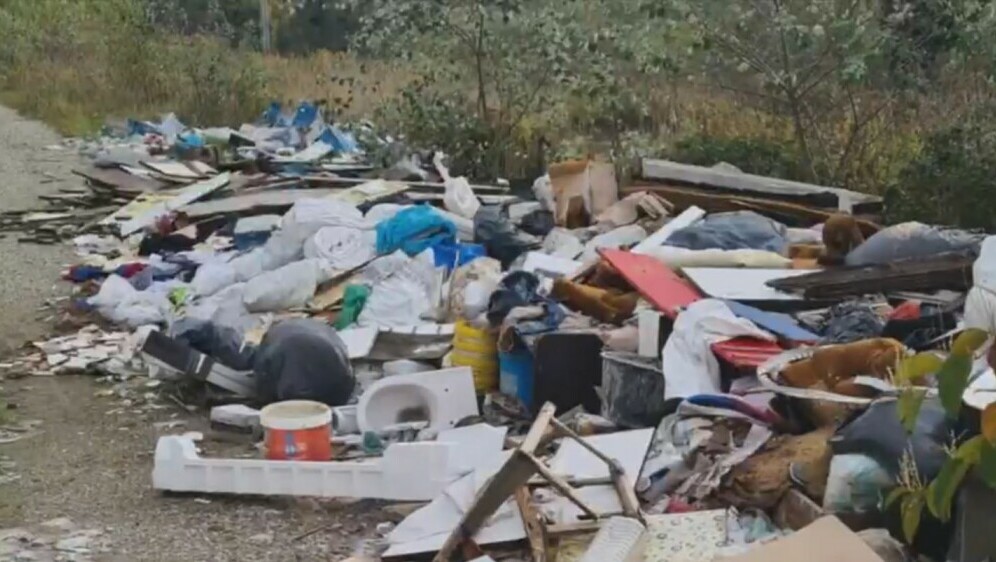 Usred šume ekološka katastrofa - 4