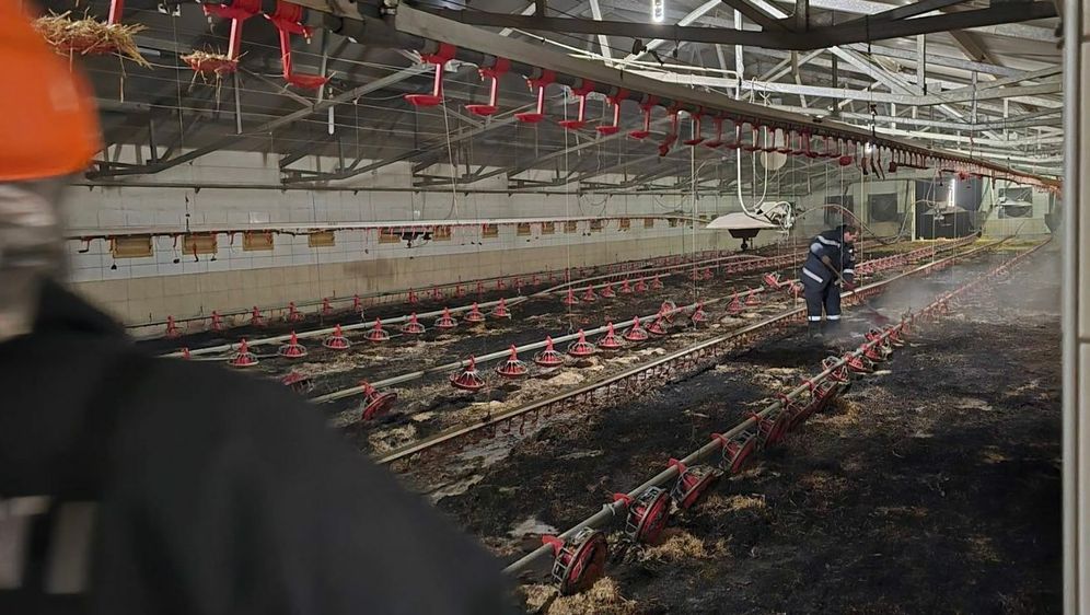 Požar na farmi pilića