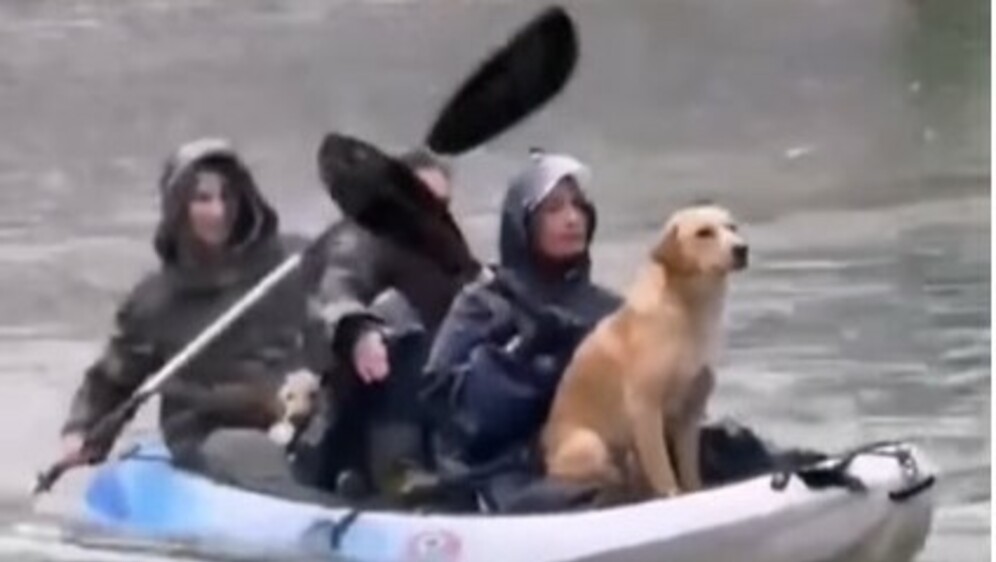 Djevojke spasile psa