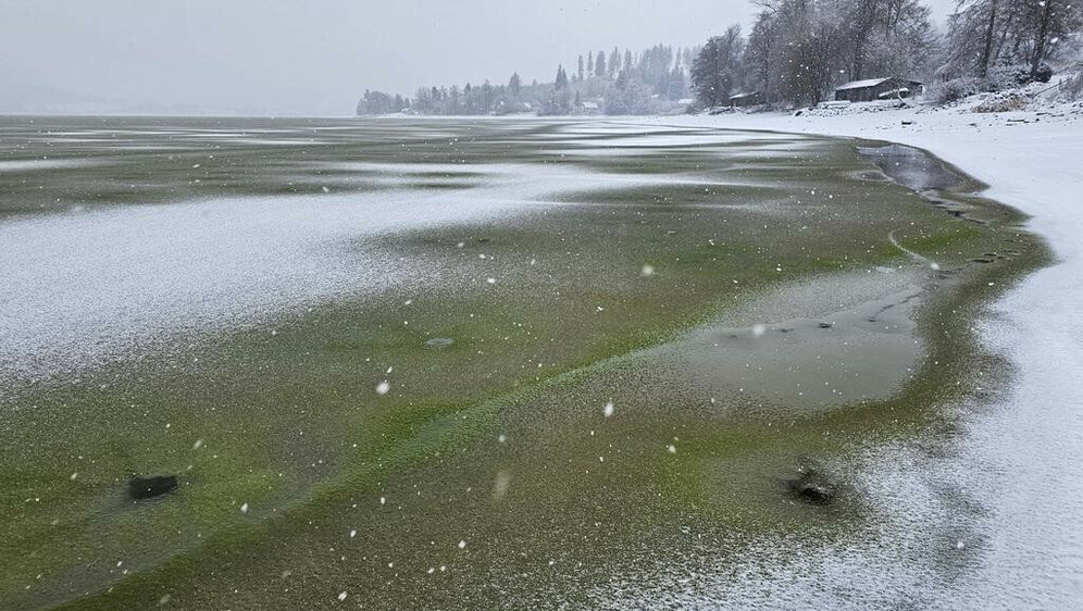 Zeleni led u Češkoj