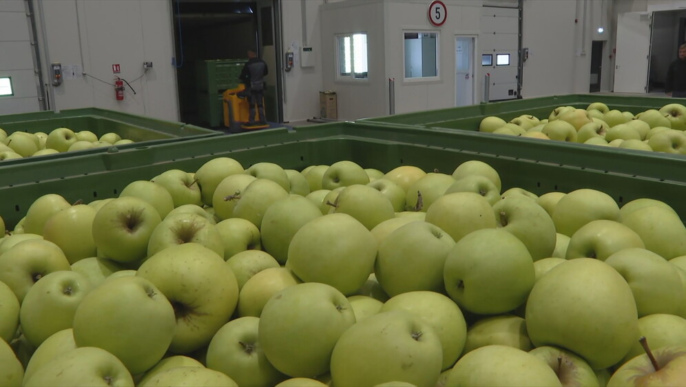 Voćari uskoro konkurentni na tržištu