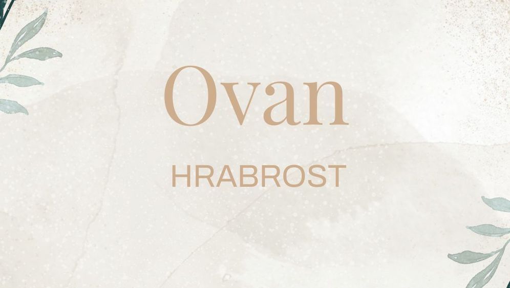 Rečenice koje će obilježiti svaki znak u 2026.