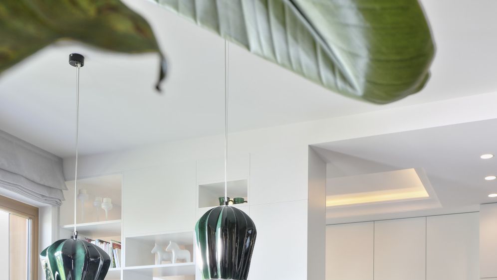 Genijalan stan u kojem su visilice možda čak i glavna zvijezda - 1