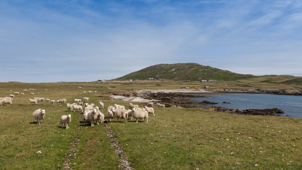 Otok Bardsey, Wales - 1