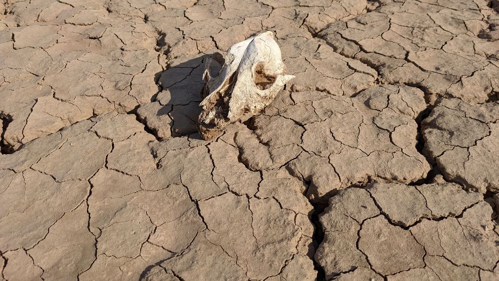 Ekstremna vrućina, ilustracija