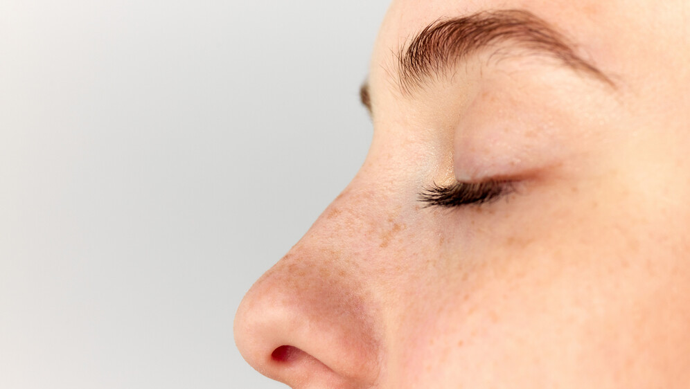 Kako se piše: nosevi ili nosovi