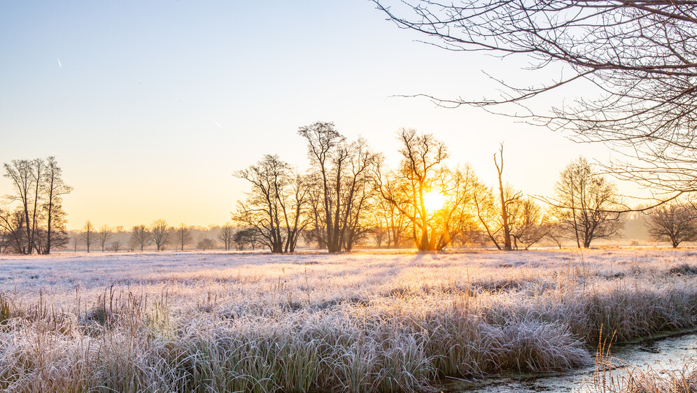 Hladno zimsko jutro, ilustracija