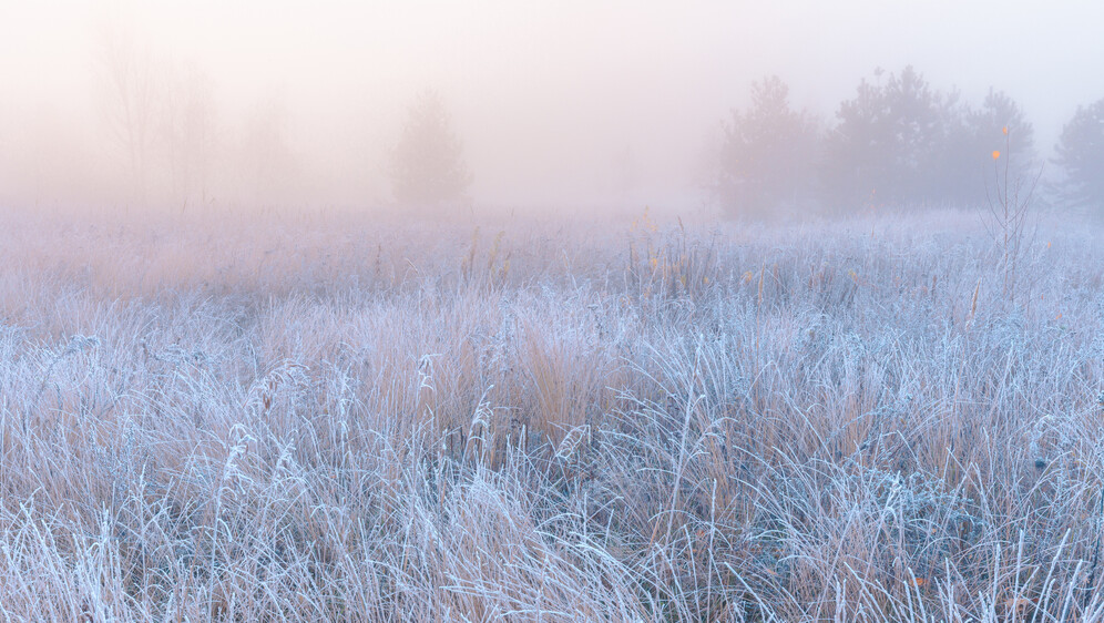 Zimsko jutro, ilustracija