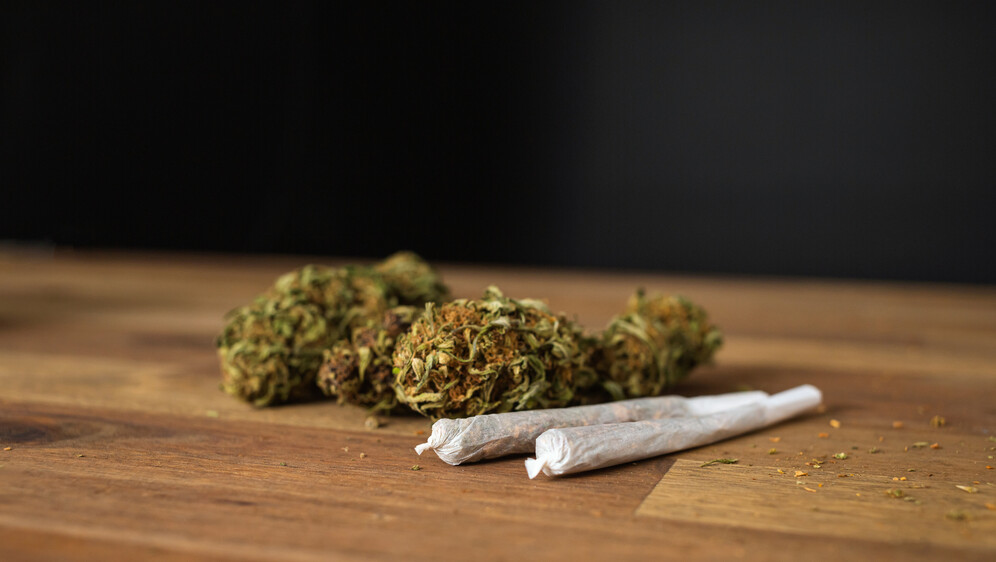 Marihuana, ilustracija