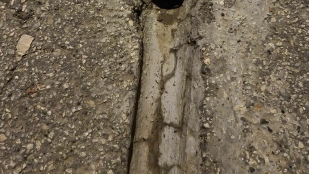 Neobičan detalj na slivniku u dvorištu