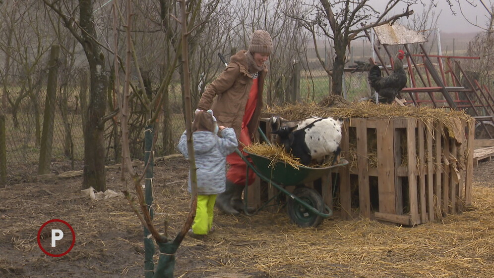 Provjereno: Obitelj Hrast - 1