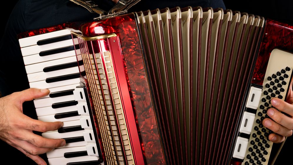 Harmonika, ilustracija