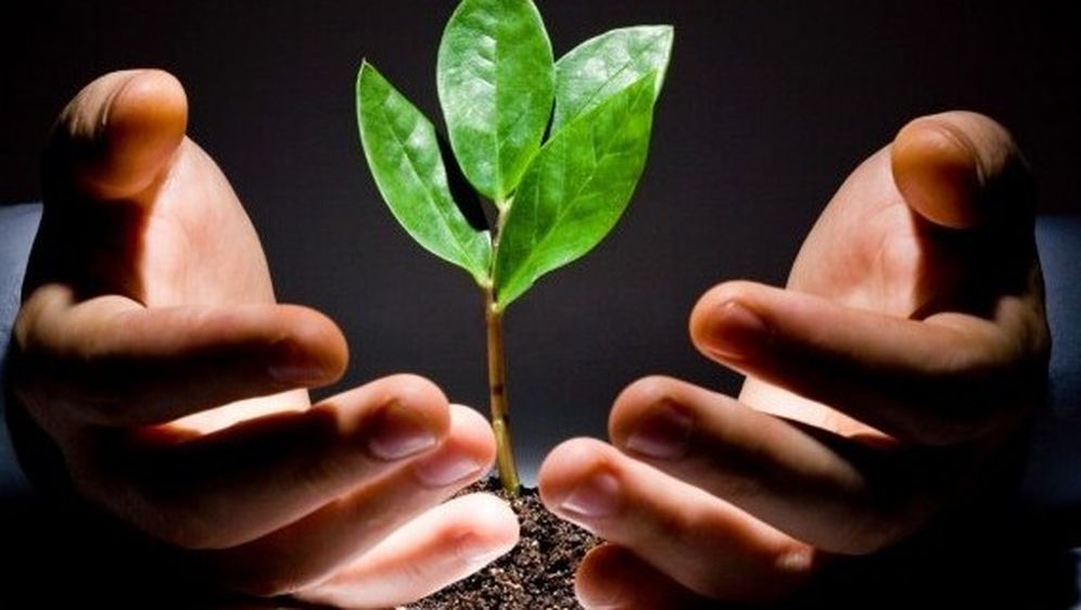 Hamag-Bicro radi na pokretanju prvog hrvatskog VC fonda, žele osigurati 200 milijuna kuna