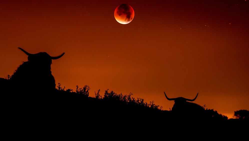 Krvavi Mjesec (Foto: Flickr/Maurits Verbiest)