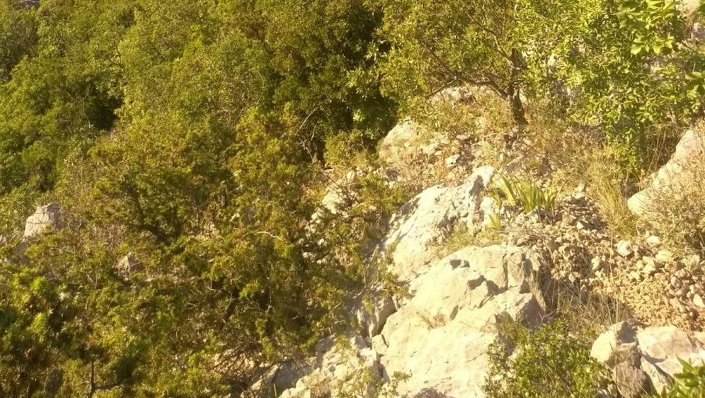 HGSS, spašavanje na Zavratnici (Foto: HGSS Gospić)