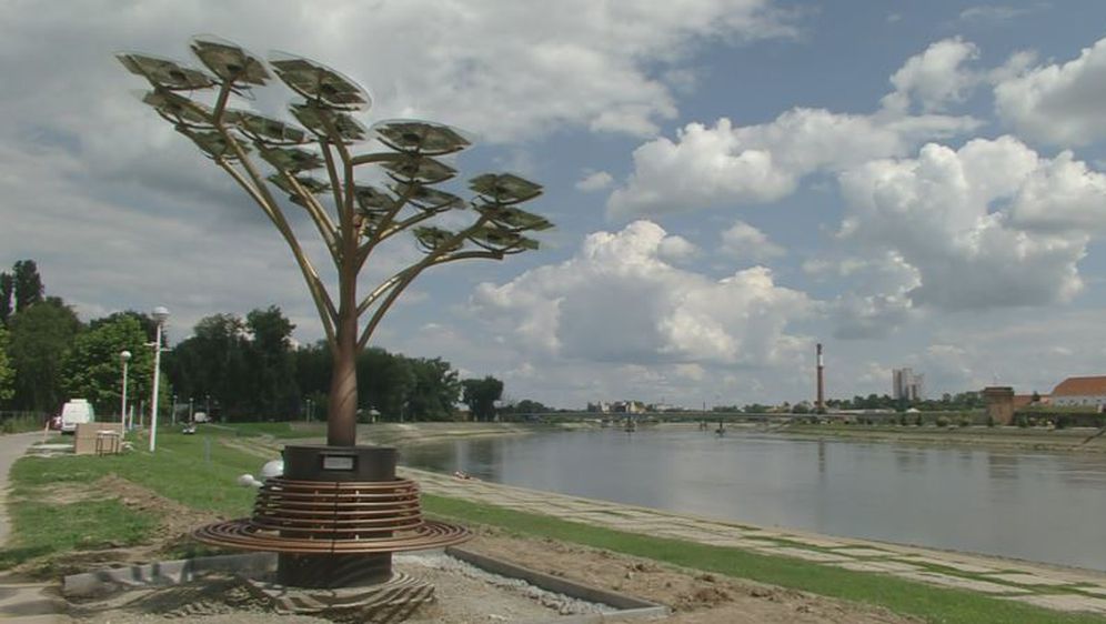 Pametno stablo na plaži u Osijeku (Foto: Dnevnik.hr) - 3