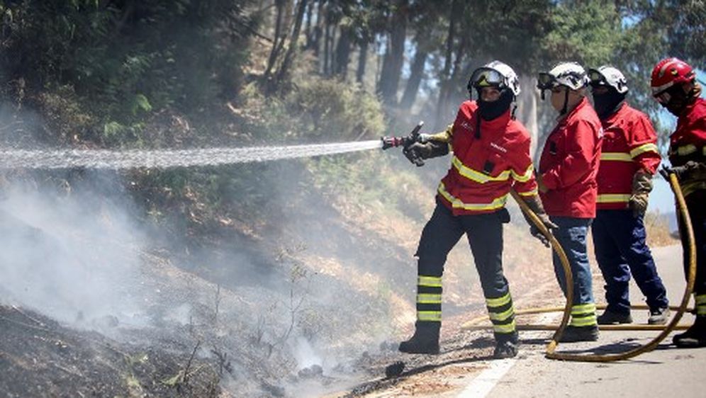 Požari u Portugalu (Foto: AFP)