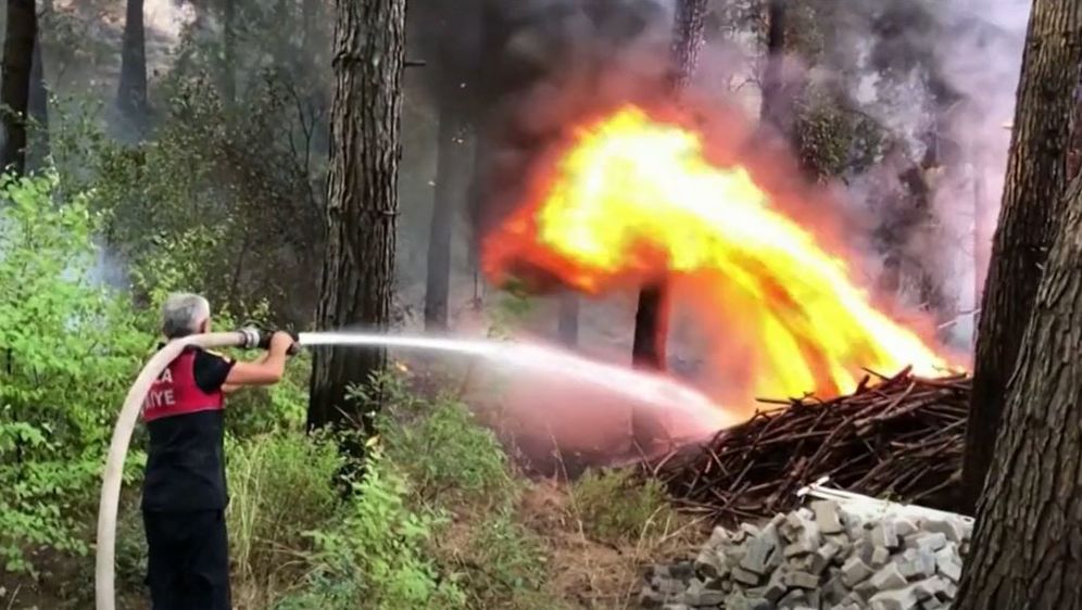 Veliki požari na Siciliji - 1
