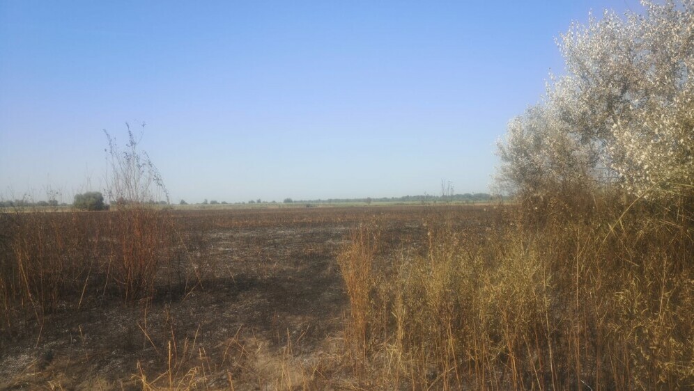 Ugašena vatra na području Kopačkog rita