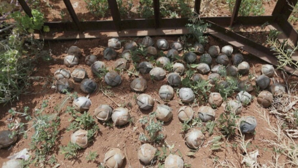 Ukrajini stižu kasetne bombe, ilustracija - 2