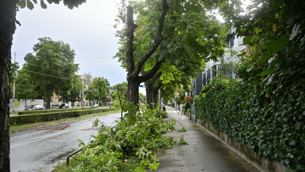 Nevrijeme rušilo grane stabala uz prometnice