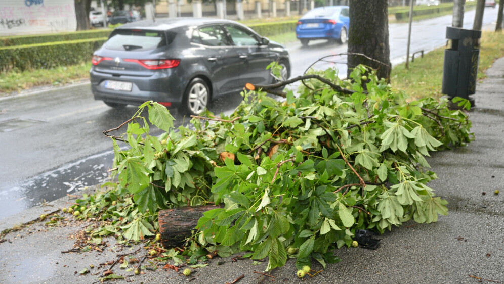 Nevrijeme rušilo grane stabala uz prometnice
