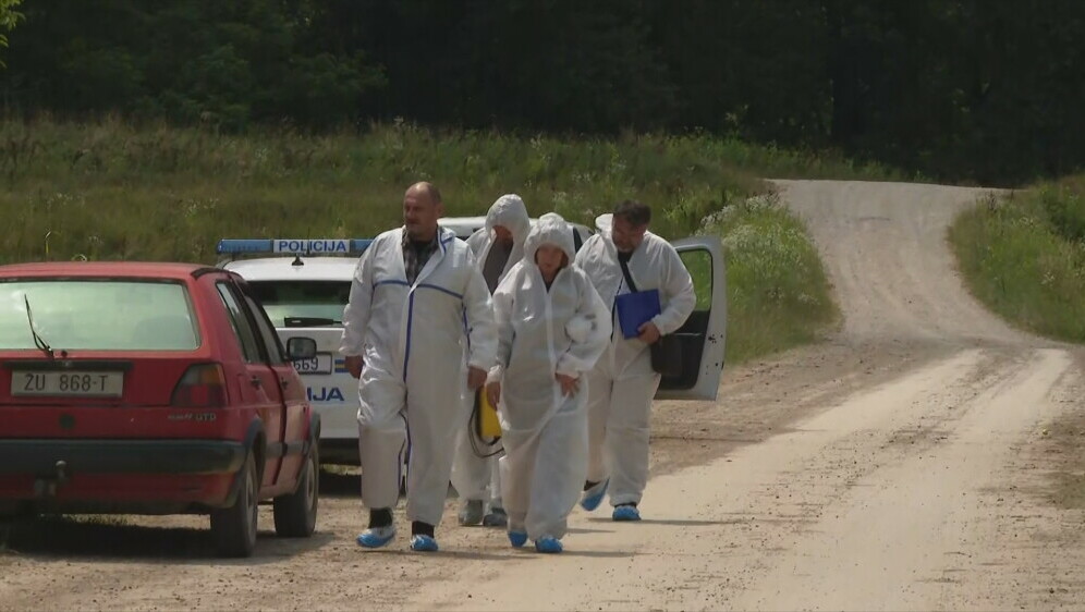 Afrička svinjska kuga