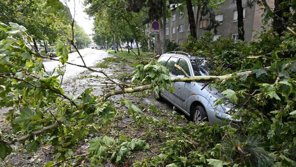 Posljedice razorne oluje - 1