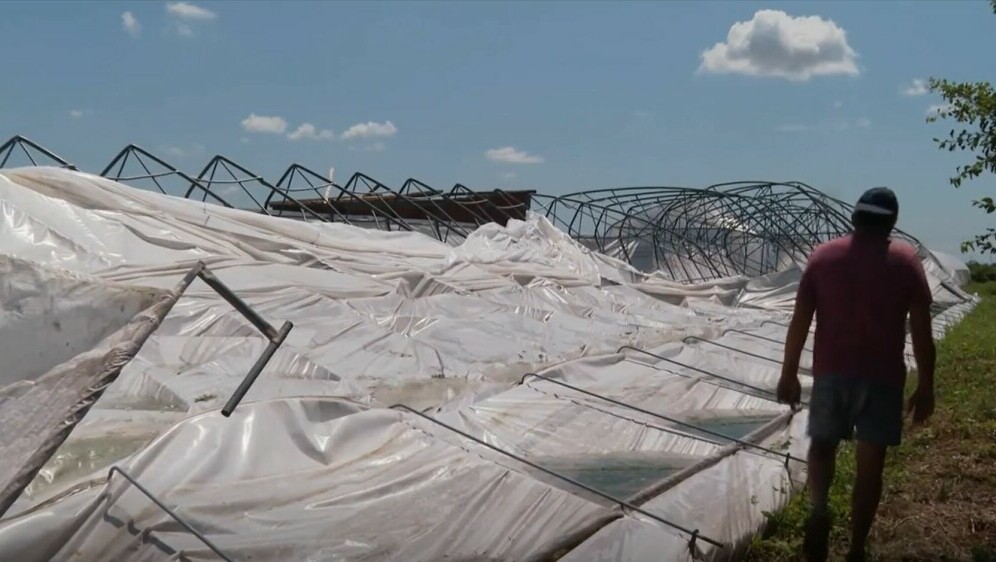 Kaos i na Istoku Hrvatske - 5