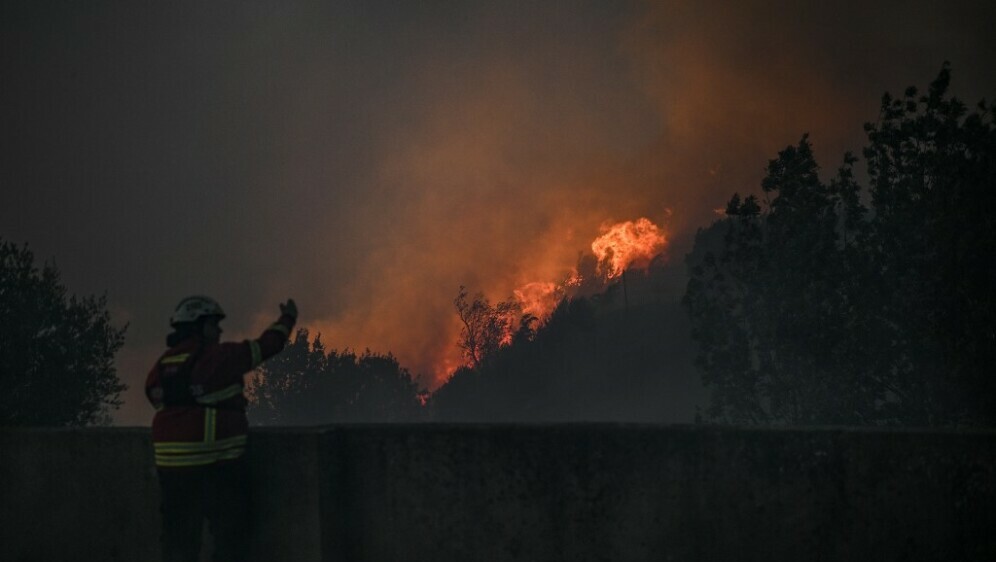Požar u Portugalu - 3