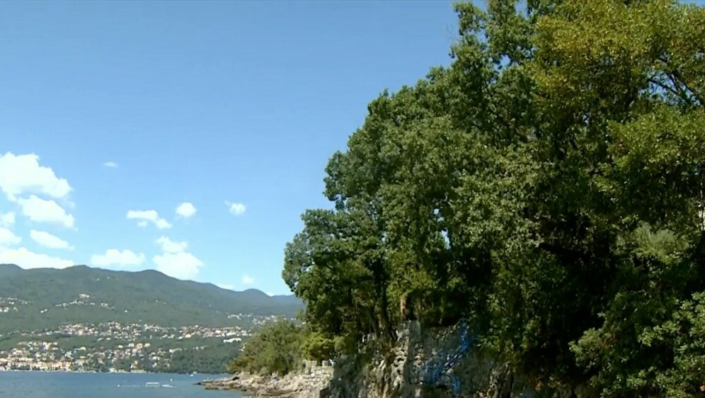 Vlada na godišnjem odmoru - 2