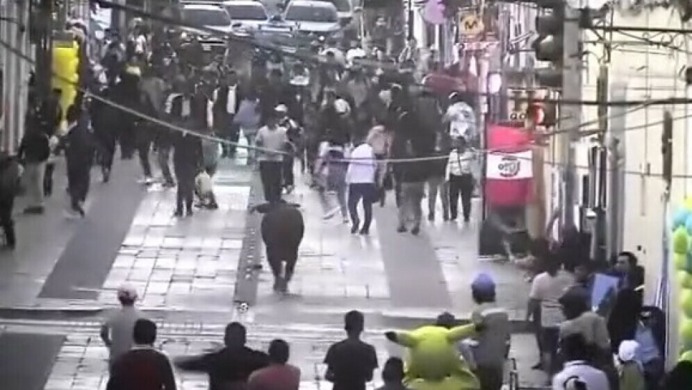 Objegli bik u Peruu