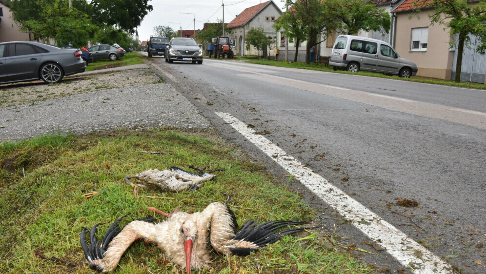 Ozlijeđene rode u Bošnjacima