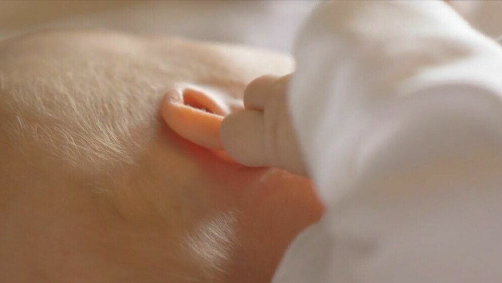 Ostavljena beba na Korčuli - 3