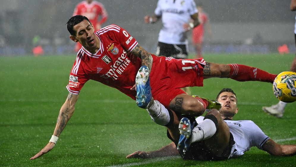 Toni Borevković protiv Angela Di Marije