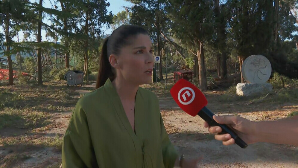 Matea Dorčić