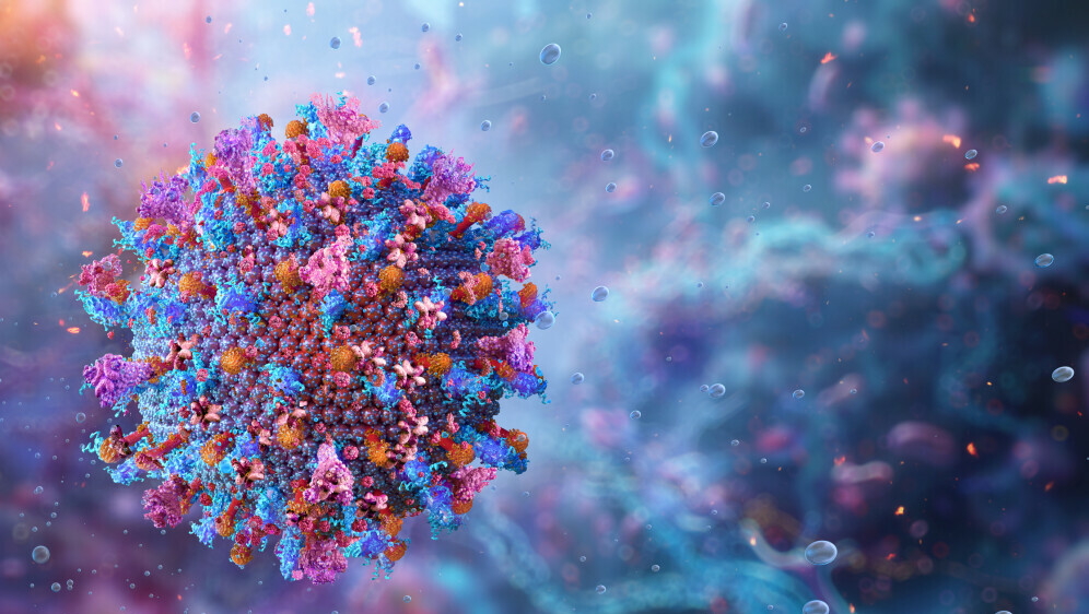 Virus afričke svinjske kuge