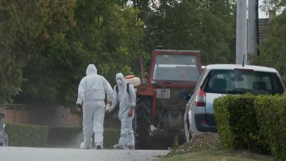 Afrička svinjska kuga u Baranji - 3