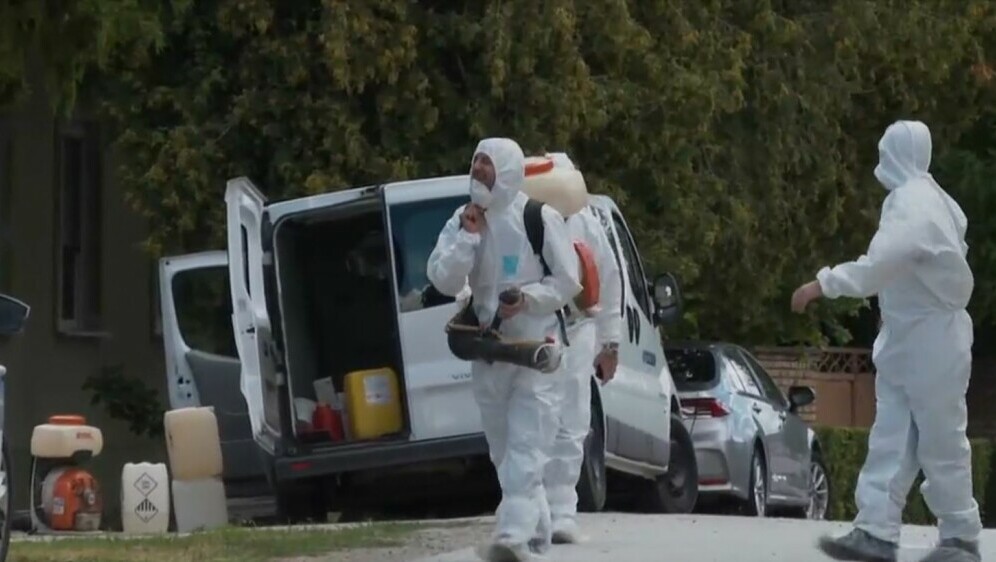 Afrička svinjska kuga u Baranji - 3