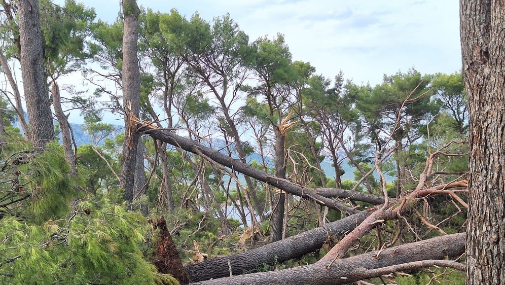 Marjan nakon oluje - 3