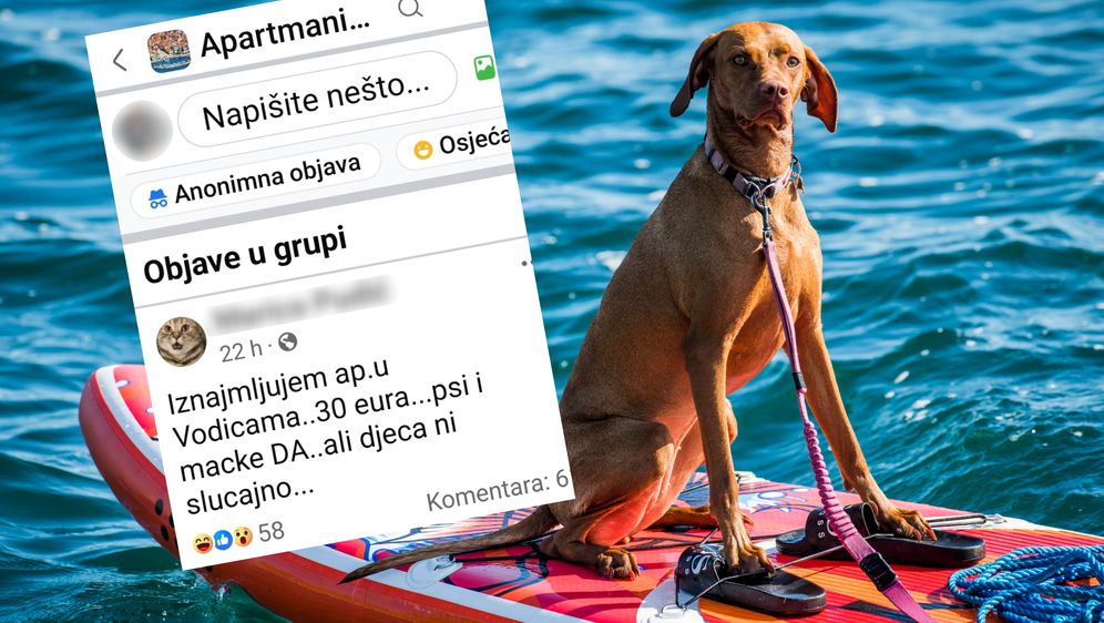 Oglas za iznajmljivanje apartmana u Vodicama