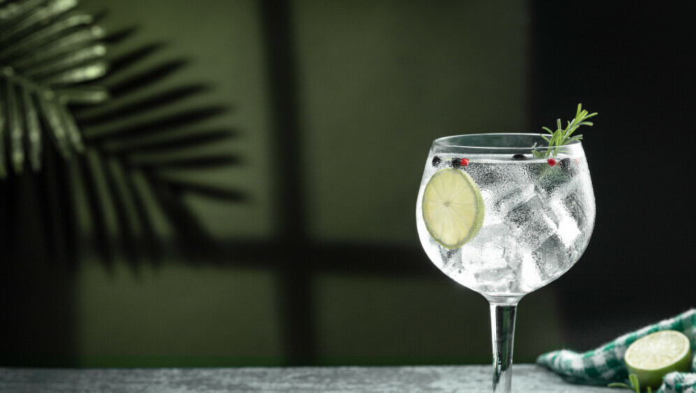 Kako se piše: gin-tonic ili džin-tonik