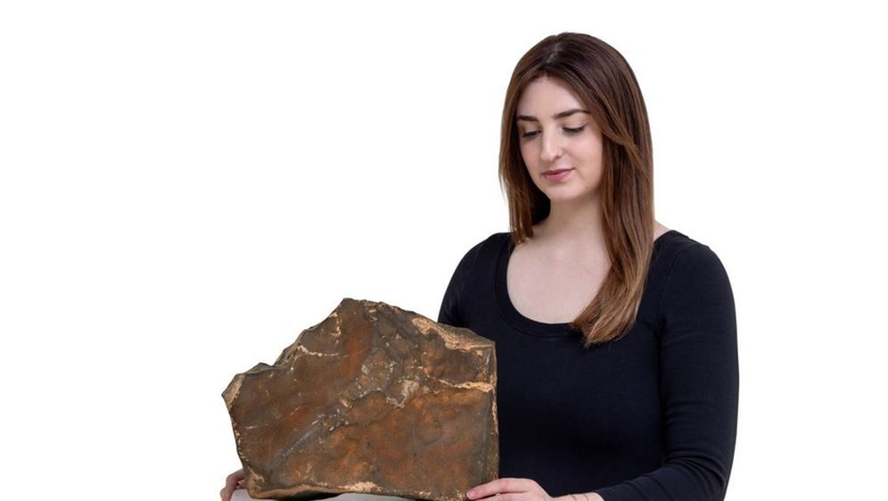 Meteorit NWA-16788 s Marsa prodan za rekordnu cifru na aukciji