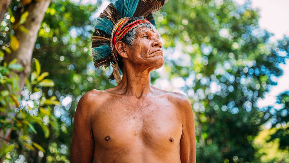Amazona - 1