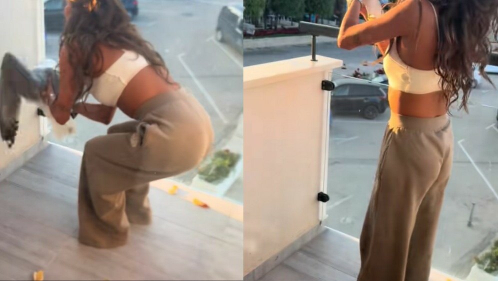 Rachel Foster i galeb na balkonu