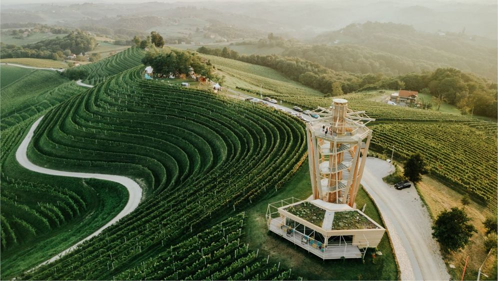 Jazz u vinogradu